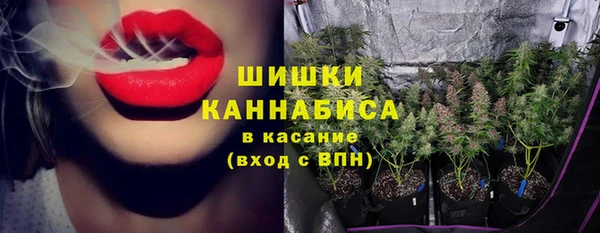 стафф Волоколамск