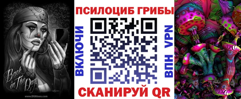 Псилоцибиновые грибы Cubensis  Видное 